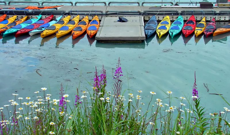 Valdez Marina