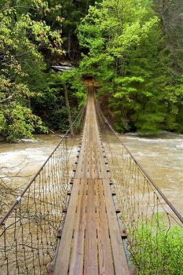 Bridge Over Cane Creek, Fall Creek Falls SP