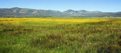 Jarbidge Wilderness