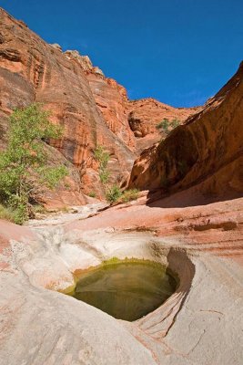  Red Cliffs NRA