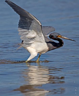 04-04-10 Fort Myers 58 (Large).jpg