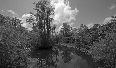  Everglades