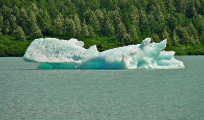 Iceberg in Portage Lake