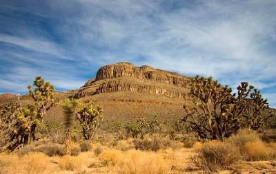 Grand Canyon West