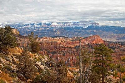   Bryce Canyon in Winter 15