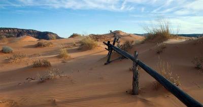  Coral Pink Sand Dunes SP 4