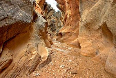 Willis Creek 7