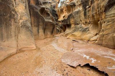 Willis Creek 9