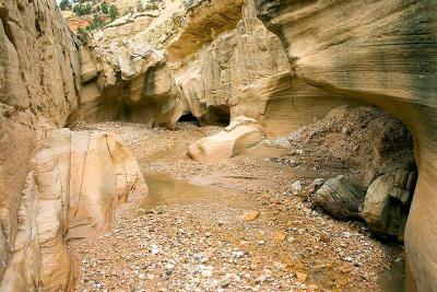 Willis Creek 10