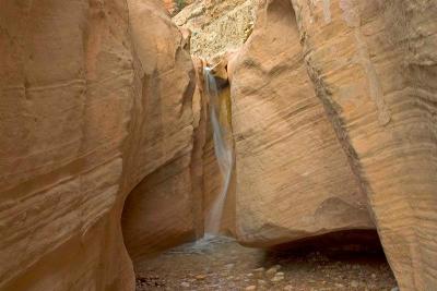 Willis Creek 11