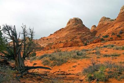   N Coyote Buttes Trail 4