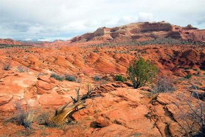   N Coyote Buttes Trail 5