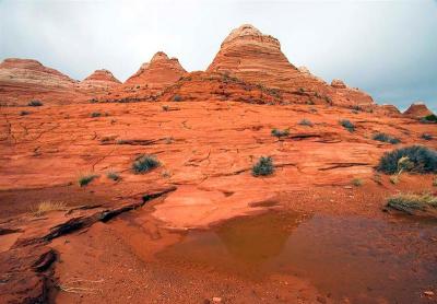   N Coyote Buttes Trail 7