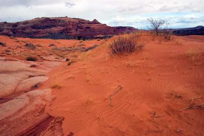   N Coyote Buttes Trail 11