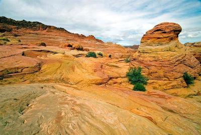   North Coyote Buttes 4