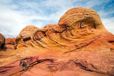  North Coyote Buttes 9
