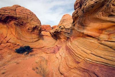  North Coyote Buttes 10