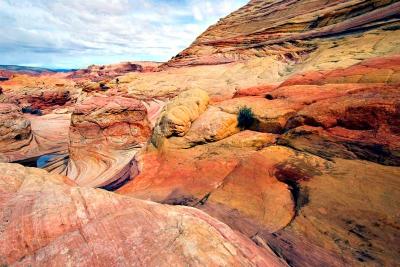 North Coyote Buttes13
