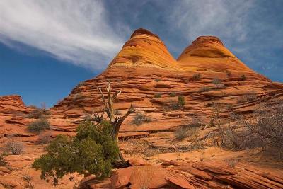  N Coyote Buttes Trail 16