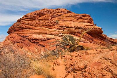   N Coyote Buttes Trail 17