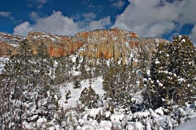  Zion NP in Winter 2