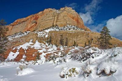  Zion NP in Winter 3