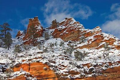  Zion NP in Winter 5