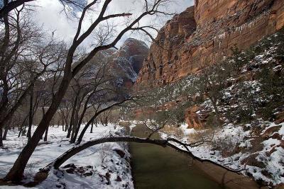  Zion NP in Winter 15
