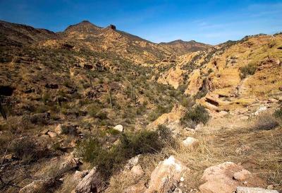  Apache Trail 2