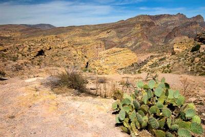  Apache Trail 5