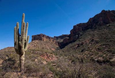  Apache Trail 10
