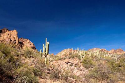  Apache Trail 11