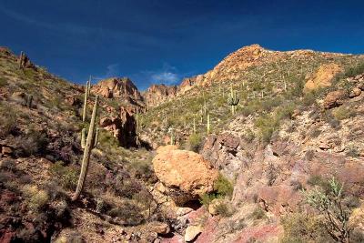  Apache Trail 12