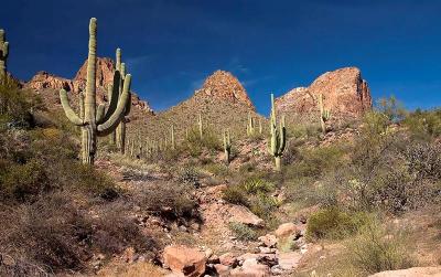 Apache Trail 13