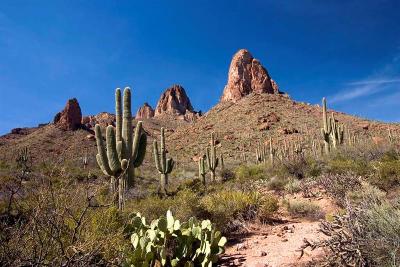  Apache Trail 14