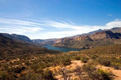  Apache Trail 15
