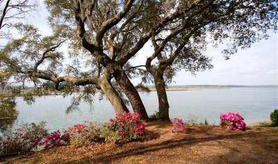 Bluffton 1