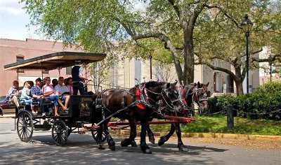 Carriage Ride, Savannah
