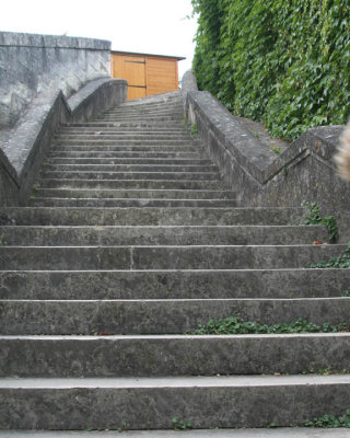 Steps