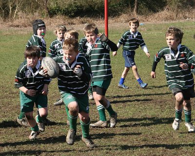 Swansea Uplands v Furnace RFC and Ammanford