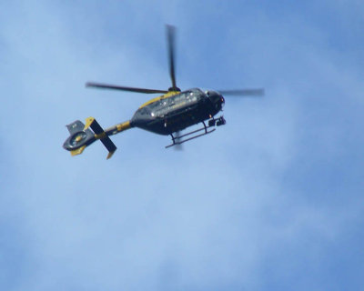 Eye In The Sky