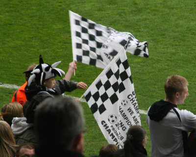 Swans Flags