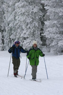 Out in the frozen woods