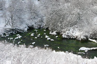 Head of the Metolius River