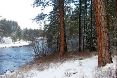 Metolius River