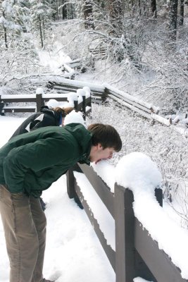 Snow Grazing