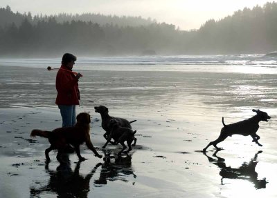 Afternoon Walk on the Beach