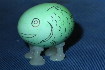Darwin's Egg
