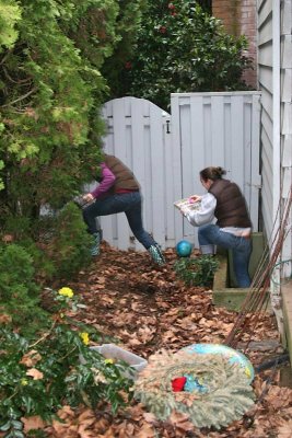 Competition in the brush