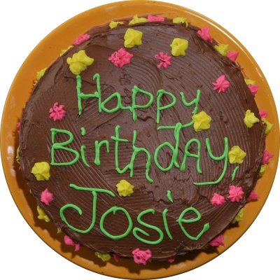 josies_first_birthday